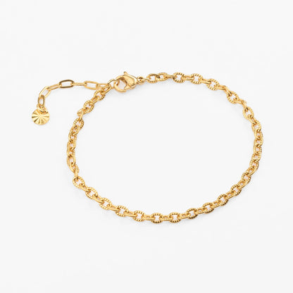 Ankyra guld armbånd 3mm ankerkæde riflet justerbart