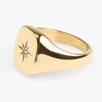 Asteri vandfast guldring med central sten