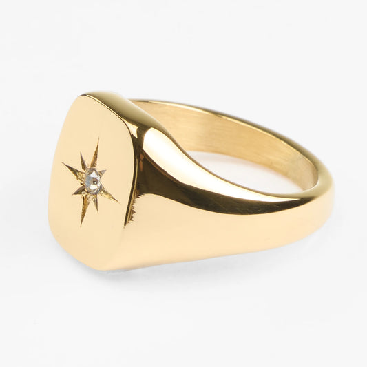Asteri vandfast guldring med central sten
